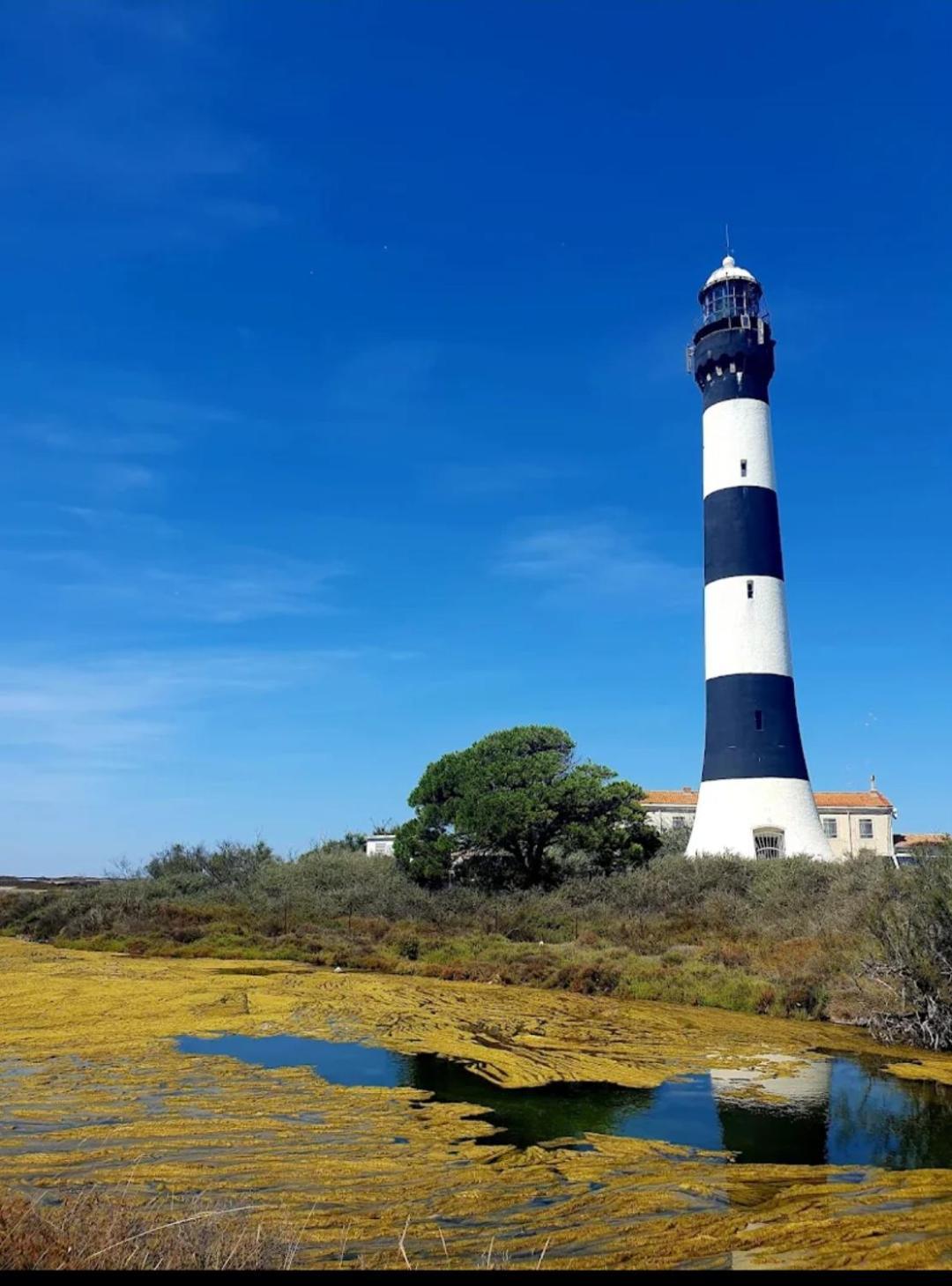 Villa Semaphore Salin-de-Giraud Dış mekan fotoğraf